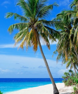 Playa Bucerías
