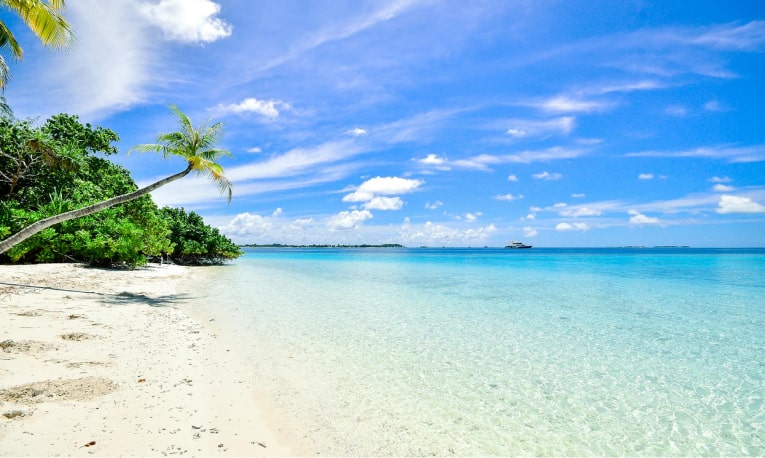 Playa Bucerías