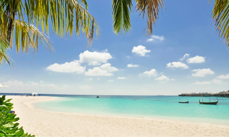 Playa Bucerías